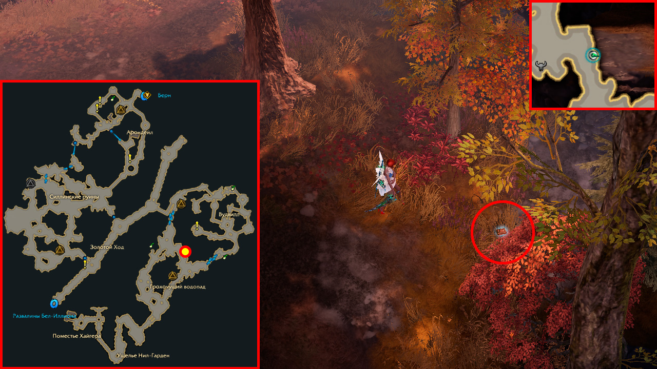 Lost Ark 2.0 Adventurer's Tome Survivalist 2/3